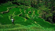 Tete Batu, Rice Terrace View with Waterfall, Original Lombok Tour