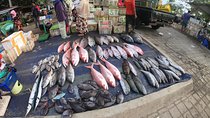 Fish & Traditional Market Package Visit