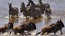 16 Days Kenya and Tanzania Safari Holiday 