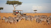 10 Days Kenya Photographic Safari Package