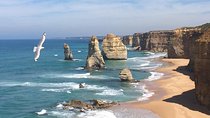 [PRIVATE TOUR] Express Great Ocean Road | Day Trip