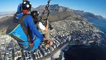 Cape Town: Tandem Paragliding with the Experts
