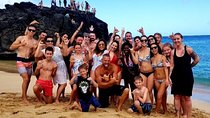 Full-Day Oahu Tour by Bus