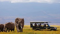 11 Days Elewana Luxury Safari Packages