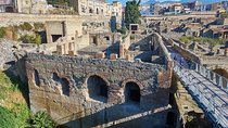 Guided Day Tour of Pompeii and Herculaneum with Light Lunch