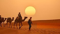 3 Days 2 night group desert tour from Marrakech to Merzouga