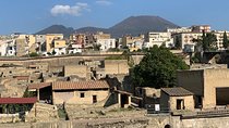 Private Herculaneum Guided Tour with an Archeologist