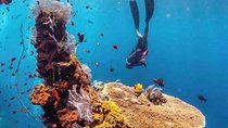 All Inclusive Bali Scuba Diving at Tulamben with Lunch -Transport