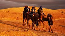 Experience of the desert of Zagora in 2 days