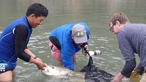 Golden Mahseer Fishing Trip Seti Karnali 