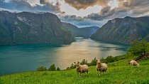 PRIVATE GUIDED TOUR: Norway's Highlights–Viking Special, 11 h