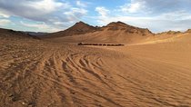 2 Days 1 night group desert tour from Marrakech to Zagora