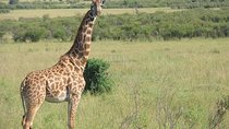 Tarangire National Park
