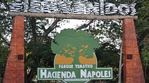 Tour to the Hacienda Nápoles Theme Park