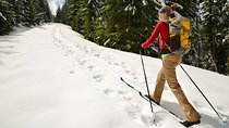 Half-Day Guided Backcountry Ski Touring Experience near Incline Village