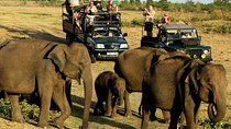 Udawalawe National Park Safari. Private full day tour from Bentota.