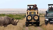  6 Days Samburu, Lake Nakuru & Masai Mara Safari on 4x4 Jeep
