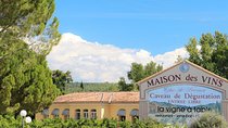 Côtes de Provence Wine Day Tour : 7 hours