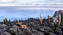 Uyuni Salt Flats (3 Days) English Speaking Guide