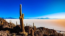 Salar De Uyuni (1Day) - Spanish Speaking Guide