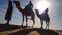 Sahara Camel Trekking - Over night in the Camp