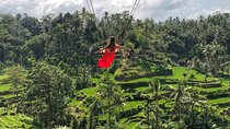 Rice Terrace and Bali Swing Tour