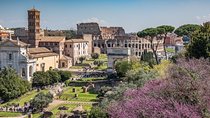 Private Rome in a Day Tour with Colosseum & Sistine Chapel: Essential Experience
