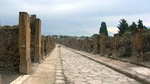 Pompeii Private Tour from Naples