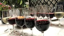 Private Walking Tour & Argentine wine Tasting