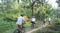 Alappuzha Backwaters & Beaches Bike Tour