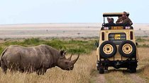 5-Days Mount Kenya, Lake Nakuru & Masai Mara Wildlife Safari