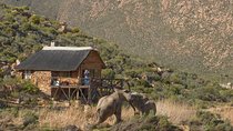 Cape Town Safari Big 5 experience all inclusive