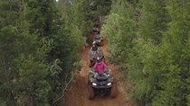 Colorful GUATAPE + Stunning ATV 1hr from MEDELLIN