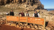 Private Tour: Boulders Beach Penguin Colony and Cape of Good Hope 