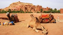 2 Day Excursions Marrakech Merzouga Erg Chebbi Camel Trek 2 Days 1 Nights Luxury