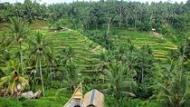 Bali Dance, Ubud Village, Scenic Rice Field And Waterfall Visit.