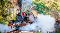 [PRIVATE TOUR] Puffing Billy and Dandenong Mountains