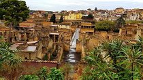Herculaneum Private Two-hour Tour With A Real Archaeologist