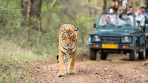 10 Days Amazing Rajasthan Tour with Taj Mahal and Wildlife Tour