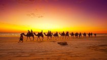Sunset Camel Ride In Agadir 