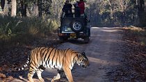 5 Days Golden Triangle Tour with Ranthambore 