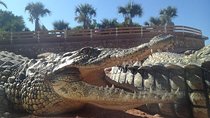 Agadir Crocoparc With Transfer & Admission ticket