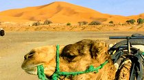 5 Days tours from Tangier to Chefchaouen, Fez, Merzouga Desert and Marrakech