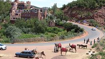 Shared Group Day trip from Marrakech to Ourika Valley