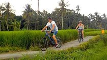 Ubud Bali Cycling Tour