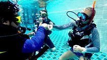 PADI Dive Divemaster 