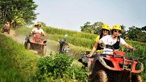 Bali ATV Ride Tour Include Transport