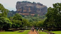 Sigiriya All Inclusive Day Tour From Habarana/Sigiriya / Dambulla