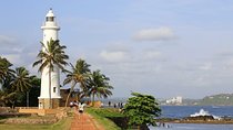 Explore Nature and Heritage in Galle from Colombo (All inclusive day tour)