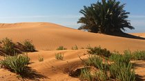 Desert Experience: 6-day jeep tour Southern Morocco